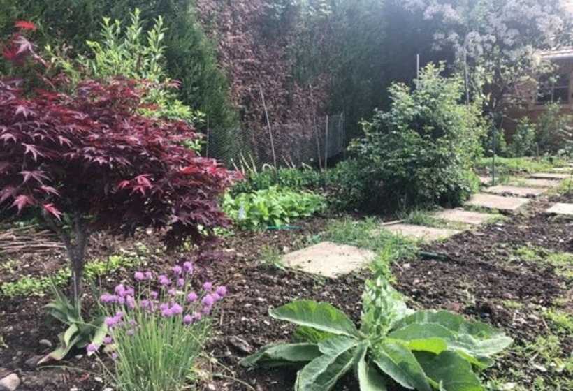 בית מלון כפרי Les Tilleuls Montbeliard Sud Audincourt