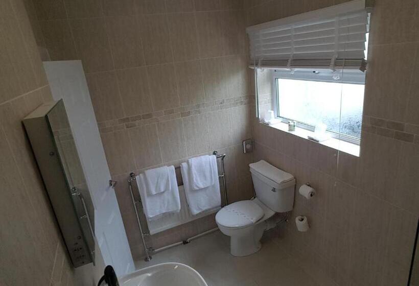 ホテル Maesmawr Hall