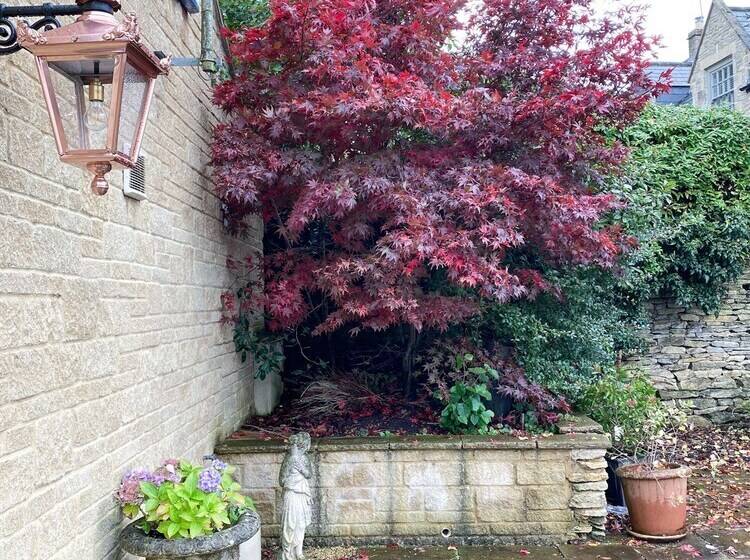 فندق The Old House At Home