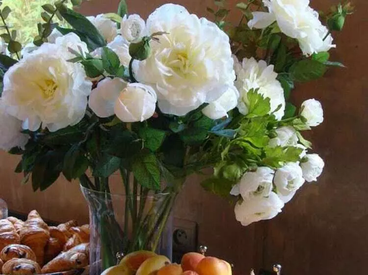 هتل Tropic Hôtel