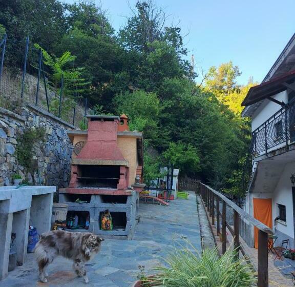 The Giaggiolo S House