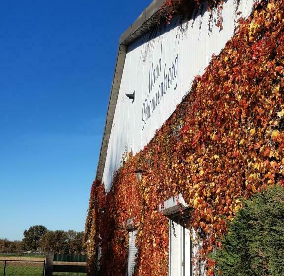 Vakantiewoning Schouwenberg