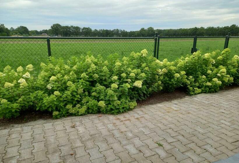 Vakantiewoning Schouwenberg