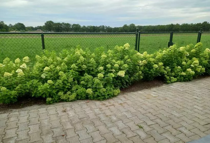 Vakantiewoning Schouwenberg