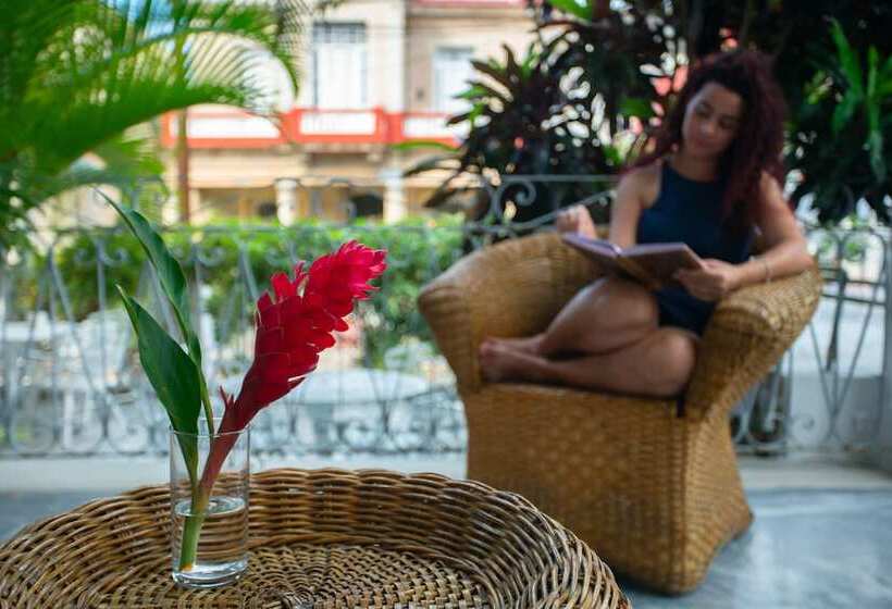 هتل La Reserva Vedado