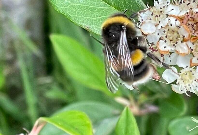 Inviting 4 Berth Caravan In Hebden Bridge