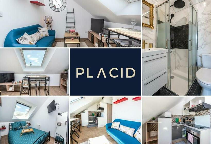 Le Bonbon D Or   Wifi Gratuite   Appartement Paisible