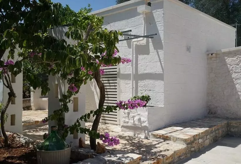 Trullo Starbax