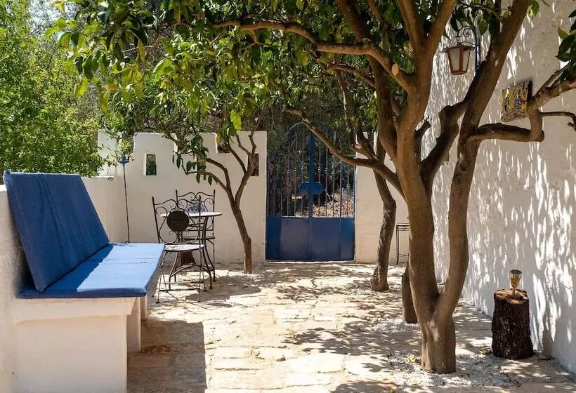 Trullo Starbax