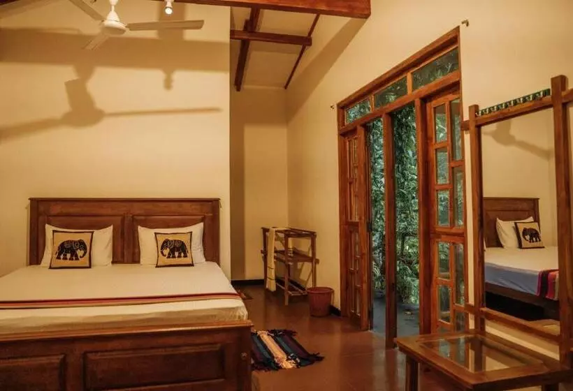 Aamiaismajoitus (B&B) Aloe Vera Guest House