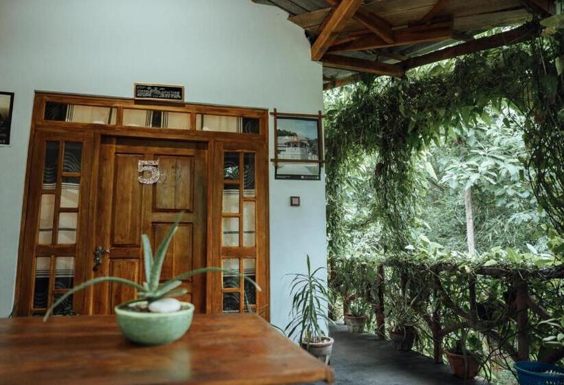 Bed and Breakfast Aloe Vera Guest House