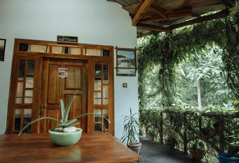 Aamiaismajoitus (B&B) Aloe Vera Guest House