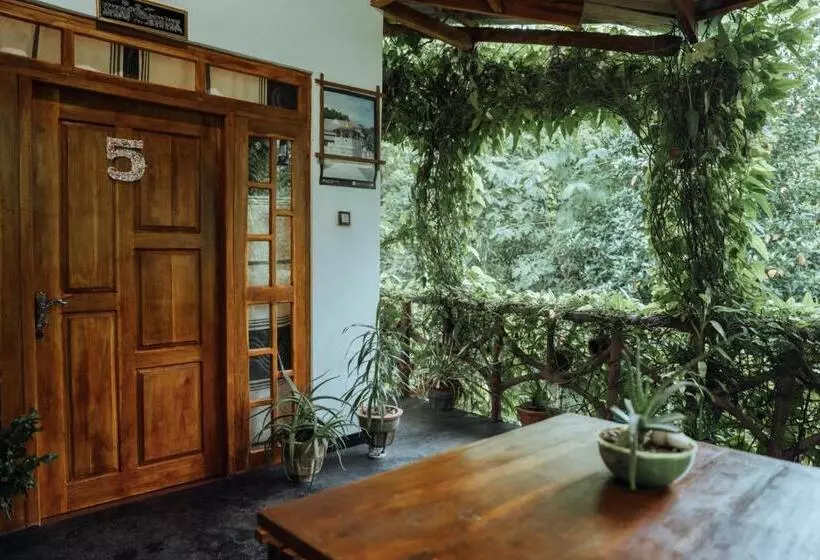 Aamiaismajoitus (B&B) Aloe Vera Guest House