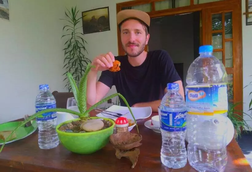 Aamiaismajoitus (B&B) Aloe Vera Guest House