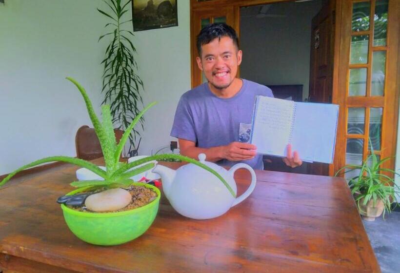 Bed and Breakfast Aloe Vera Guest House