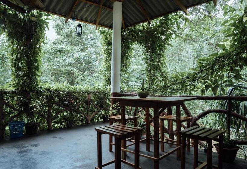 Bed and Breakfast Aloe Vera Guest House