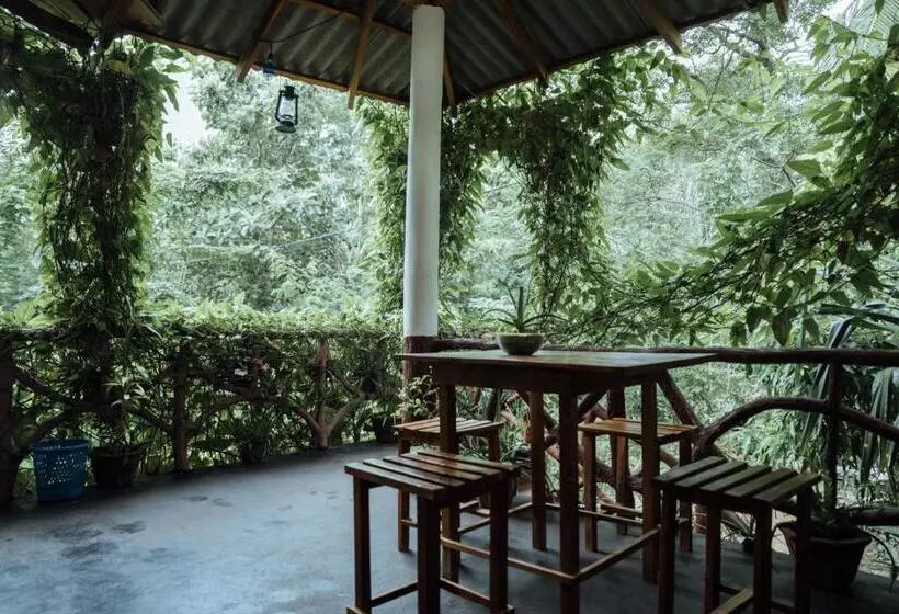 Aamiaismajoitus (B&B) Aloe Vera Guest House