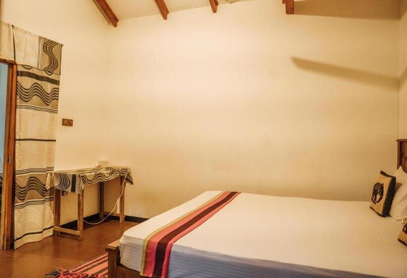 Bed and Breakfast Aloe Vera Guest House