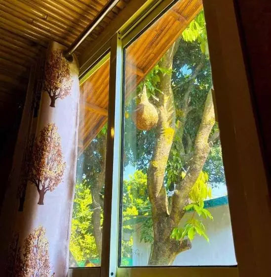 ホテル O Royal Tree Cafe And Resort
