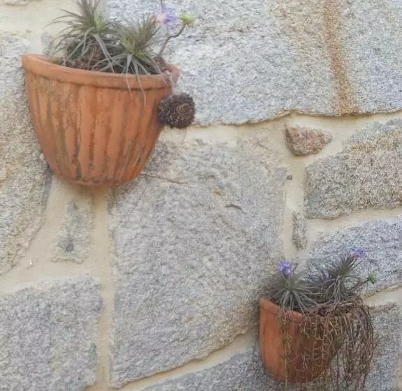 Vivienda Con Terraza En Playas De Baiona