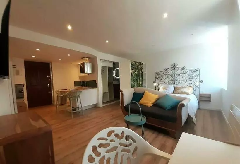 Classé 3 Etoiles Ideal Vienne Centre Ville 20 Min De Lyon