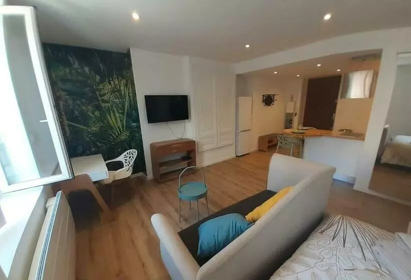 Classé 3 Etoiles Ideal Vienne Centre Ville 20 Min De Lyon