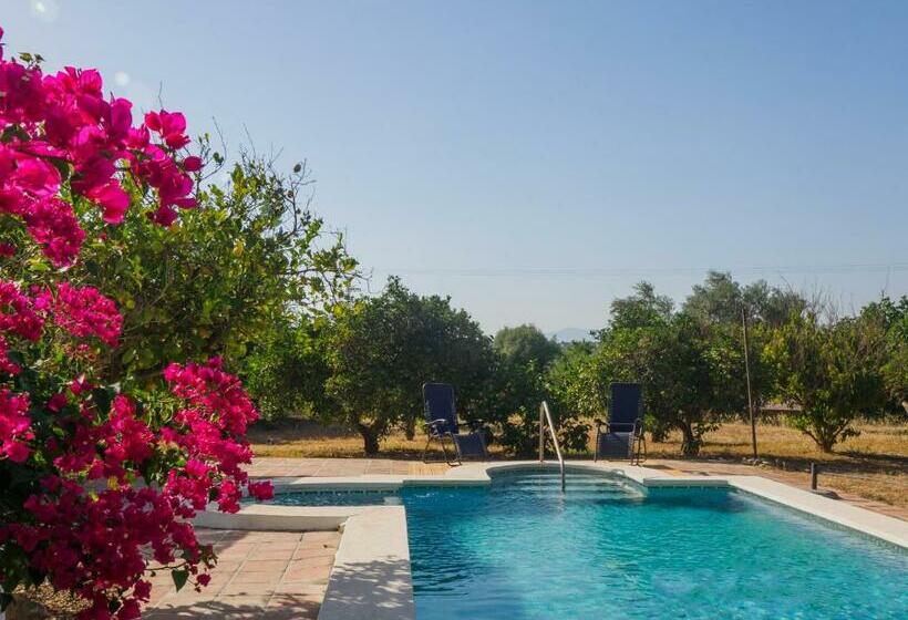 Cubo S Cortijo La Bolina