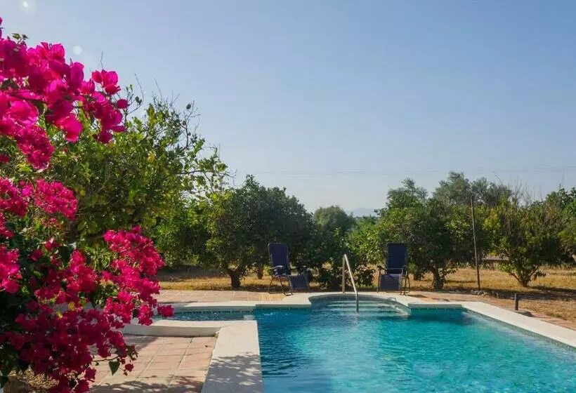 Cubo S Cortijo La Bolina