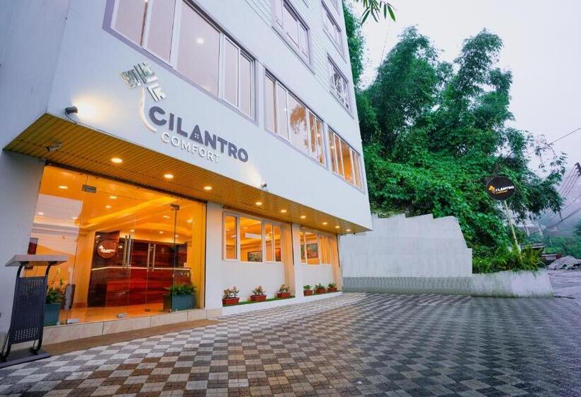 בית מלון כפרי Cilantro Comfort