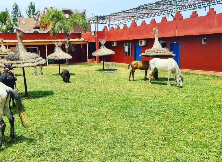 Hotel Gite Touristique Yassmine