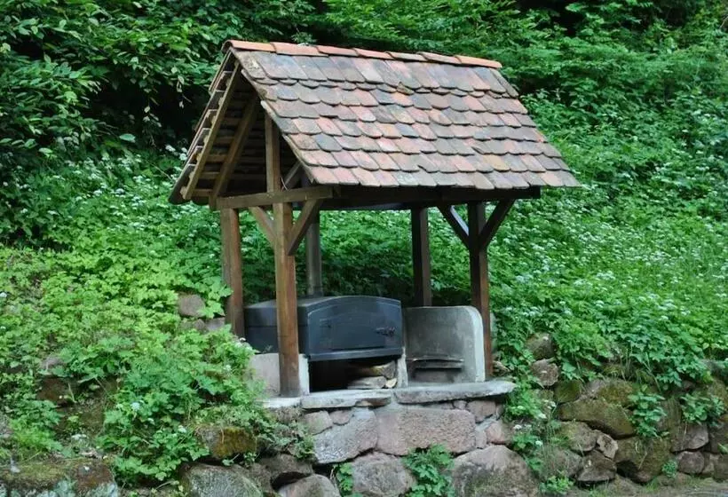 Le Saint Moulin De La Petite Pierre