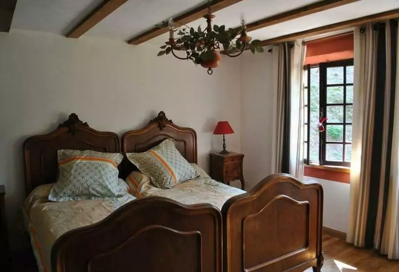 Le Saint Moulin De La Petite Pierre