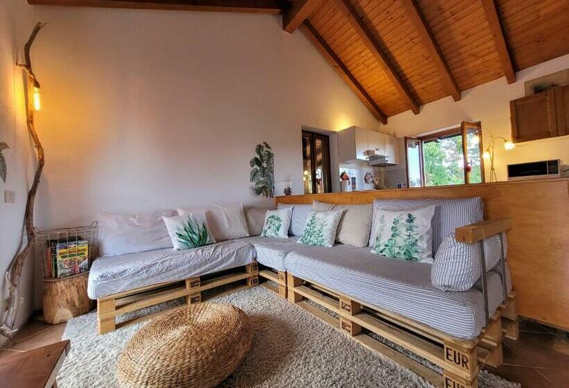 La Mansarda Del Ciliegio   Deliziosa Mansarda Con Giardino A 6 Km Da Arona