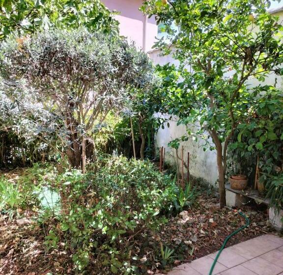 Ac 3 Bedroom House With Terrace And Shady Garden   Dodo Et Tartine