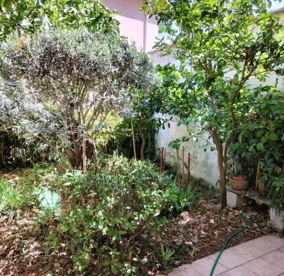 Ac 3 Bedroom House With Terrace And Shady Garden   Dodo Et Tartine