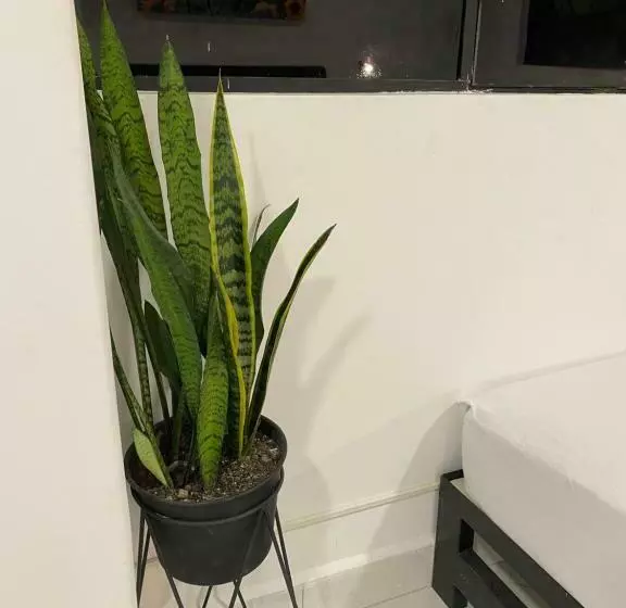 ホテル Campo Godoy