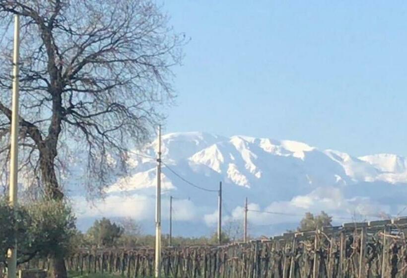 “la Casetta Del 1930” Historic Unit From Early  900