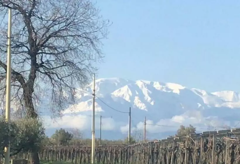 “la Casetta Del 1930” Historic Unit From Early  900