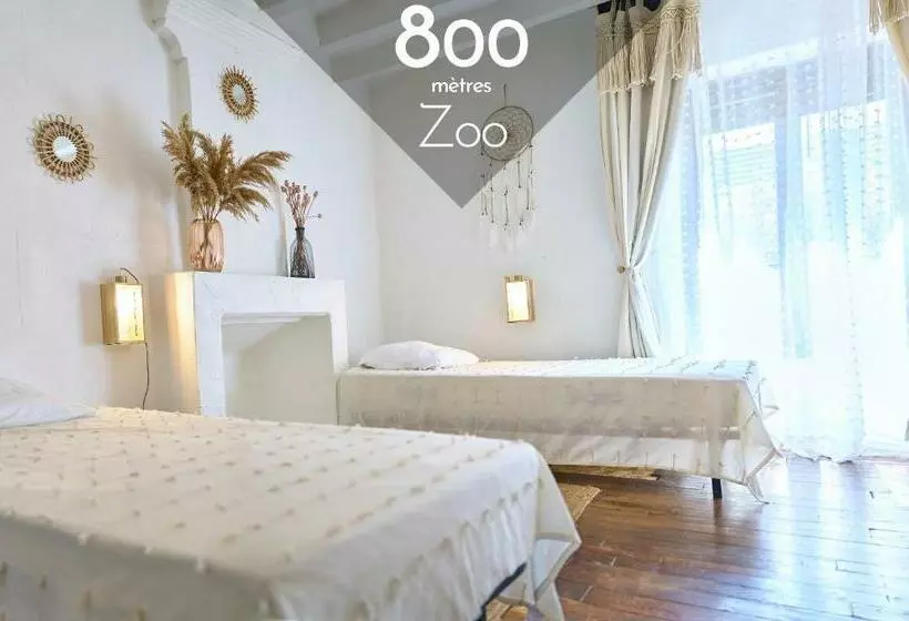 Le Petit Prateau   à 800m Du Zoo