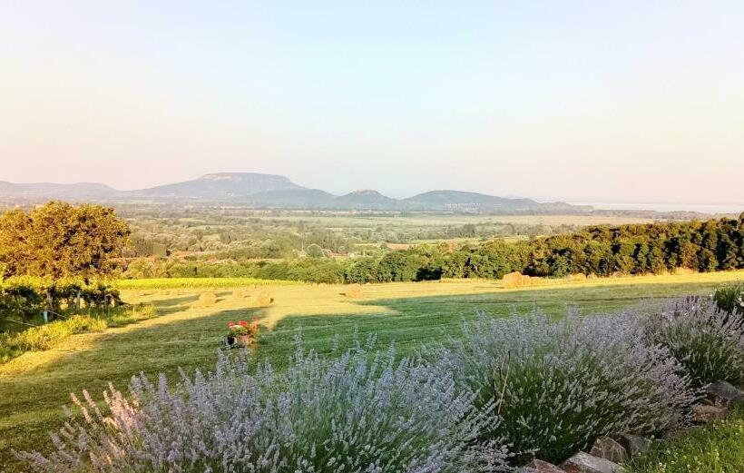 Пансион Balatoni Krokodil Vendégház