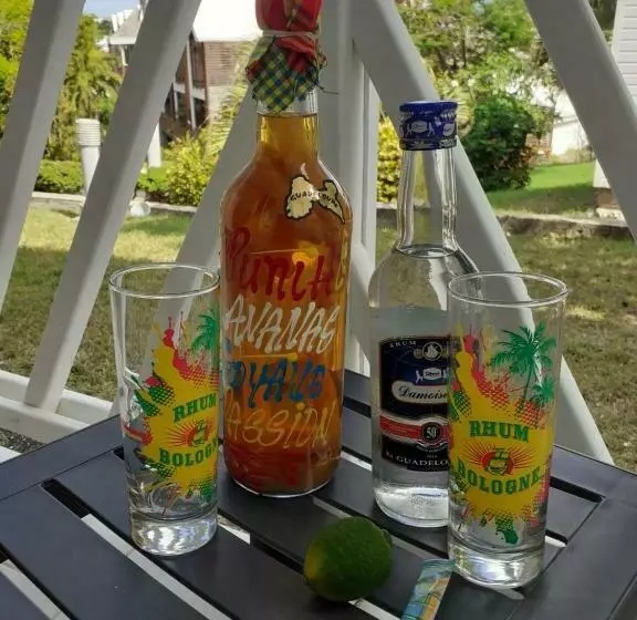 Hibiscus Manganao 1905