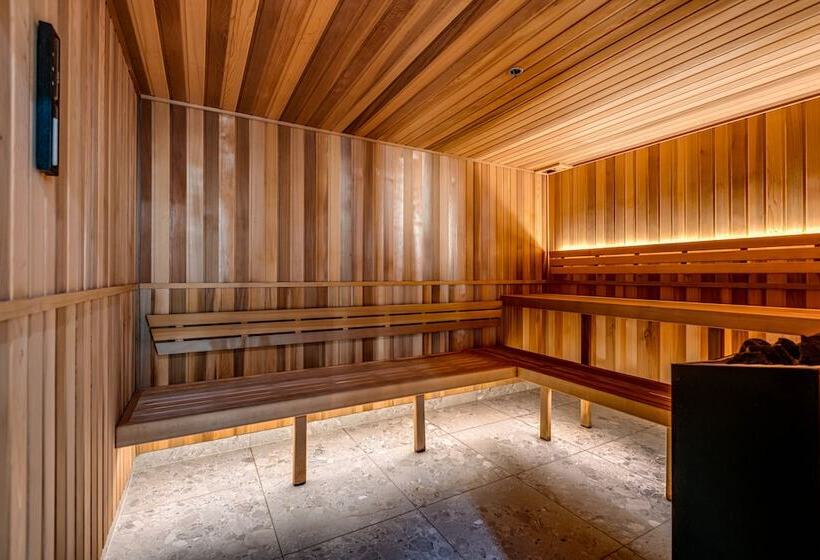 Ocean Surfers Paradise Gclr