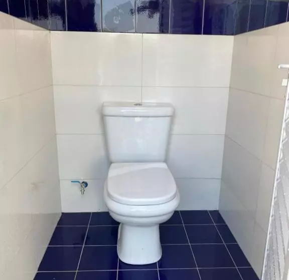 Canto Dos Pássaros
