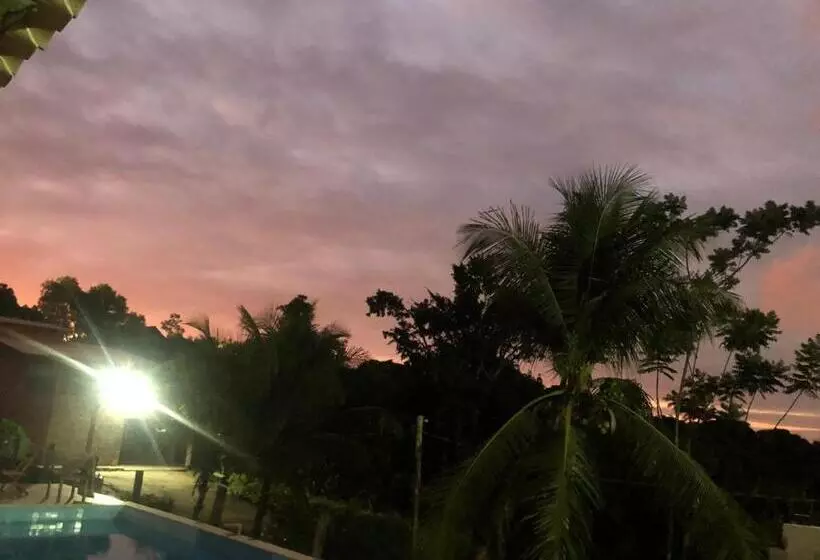 Canto Dos Pássaros
