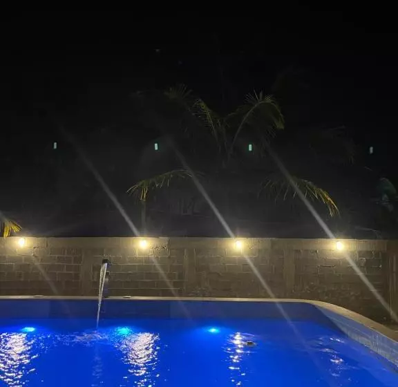 Canto Dos Pássaros