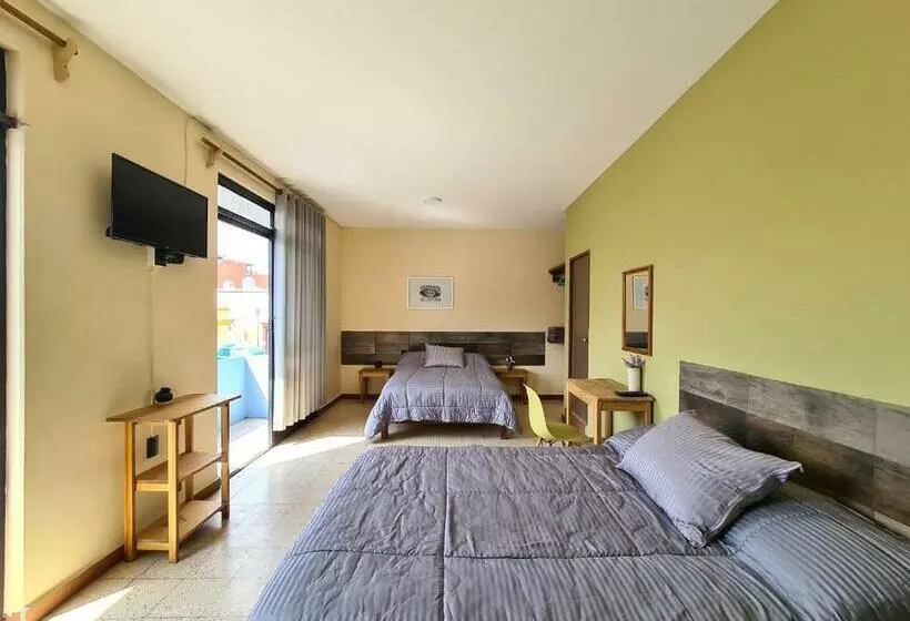 پانسیون H. Galaxia