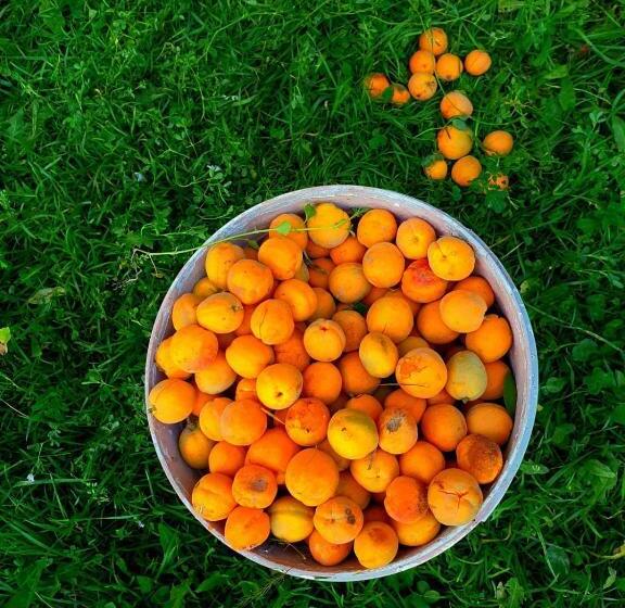 پانسیون Hikk Inn