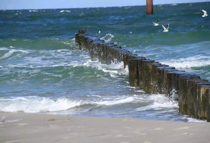 Hotell Garni Inselparadies Zingst