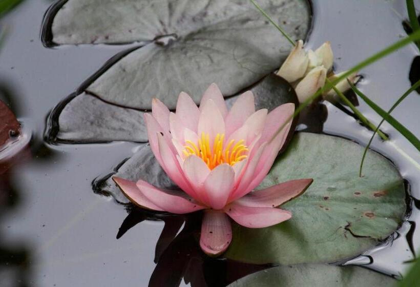 Hotel Garni Inselparadies Zingst