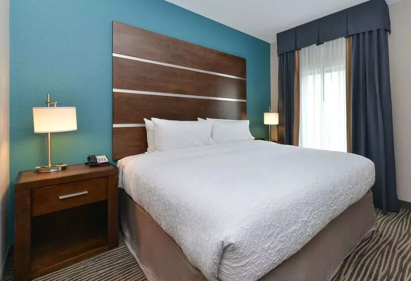 فندق Hampton Inn & Suites Des Moines Downtown